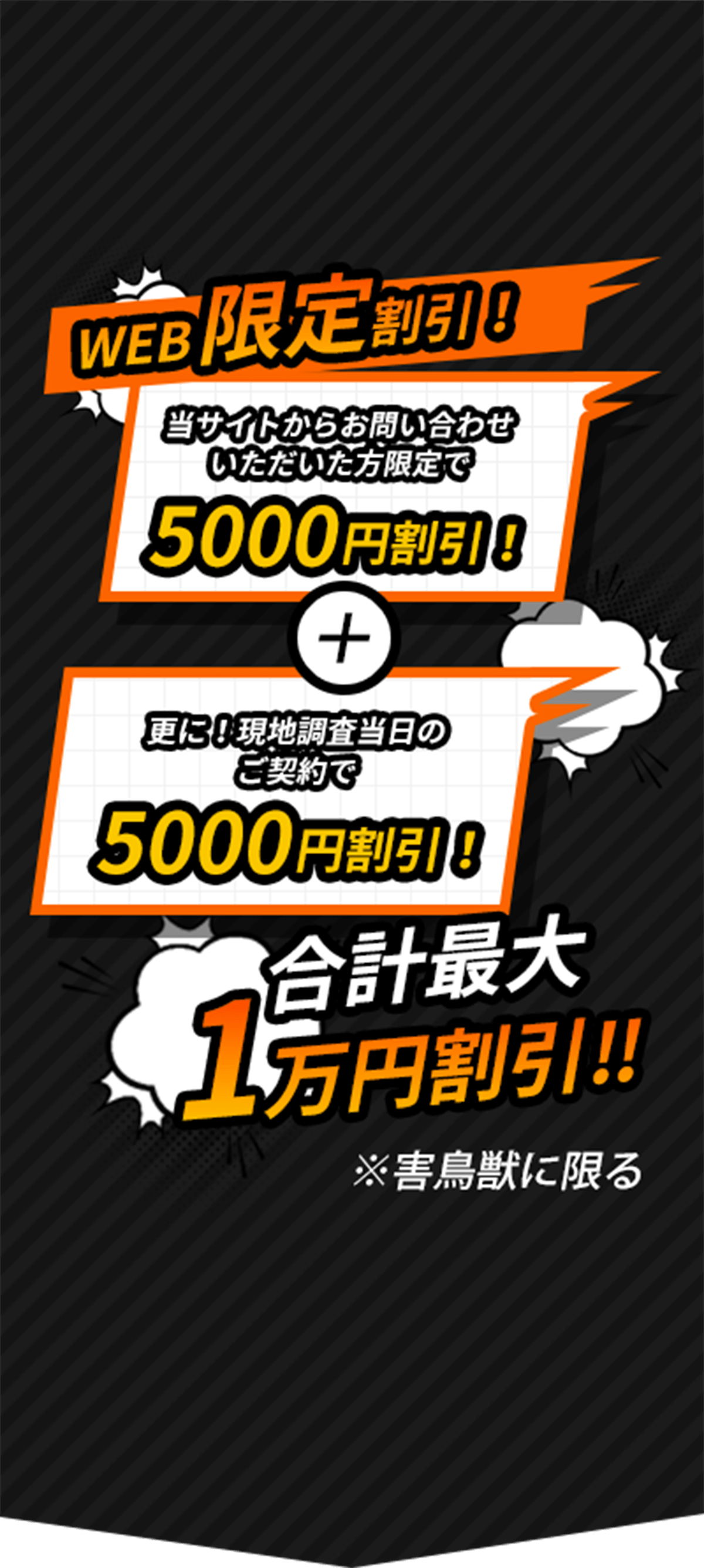 WEB限定割引！合計最大１万円割引！！