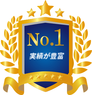実績豊富　No.1