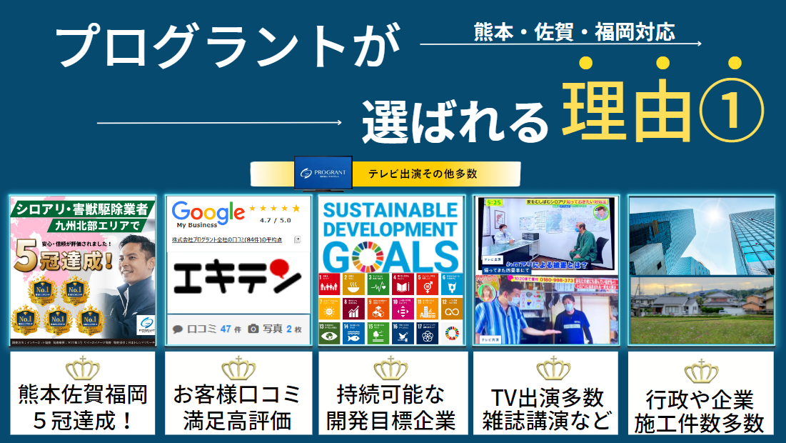 プログラントが選ばれる理由その1