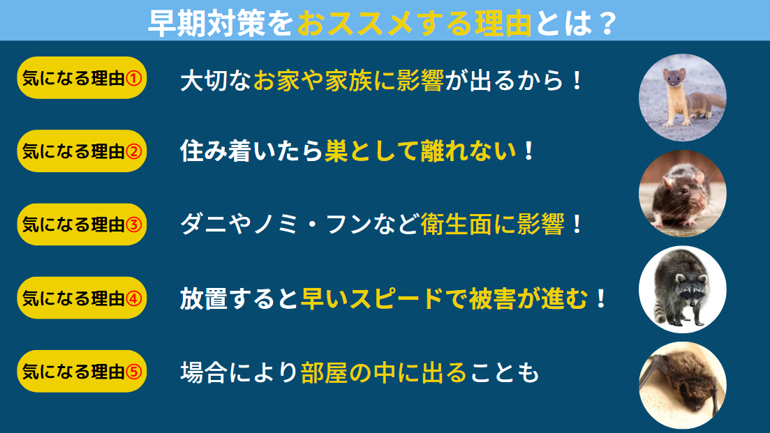 早期対策をお勧めする理由とは？