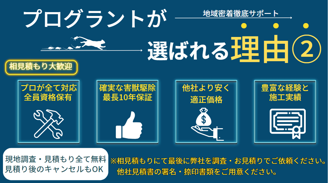 プログラントが選ばれる理由その2