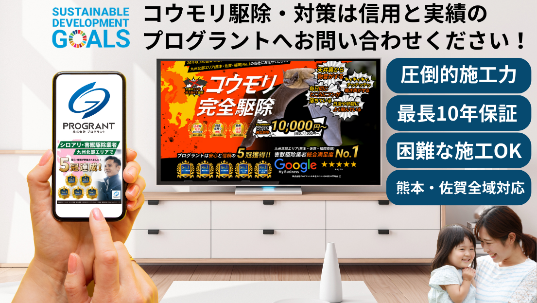 コウモリ駆除・対策は信用と実績のプログラントへお問い合わせください。