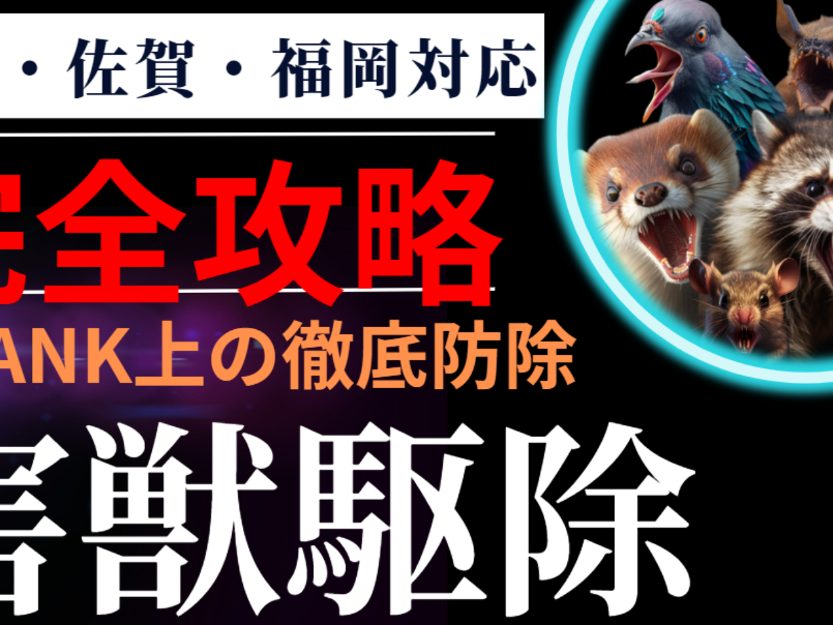 美里町トレーニングセンター徹底検証！料金や初回講習の罠と実態