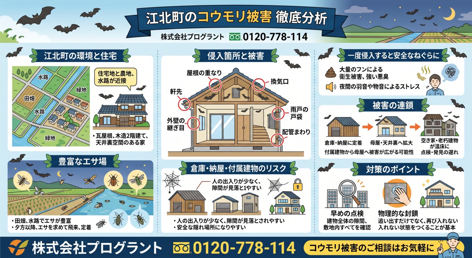 江北町のコウモリ被害