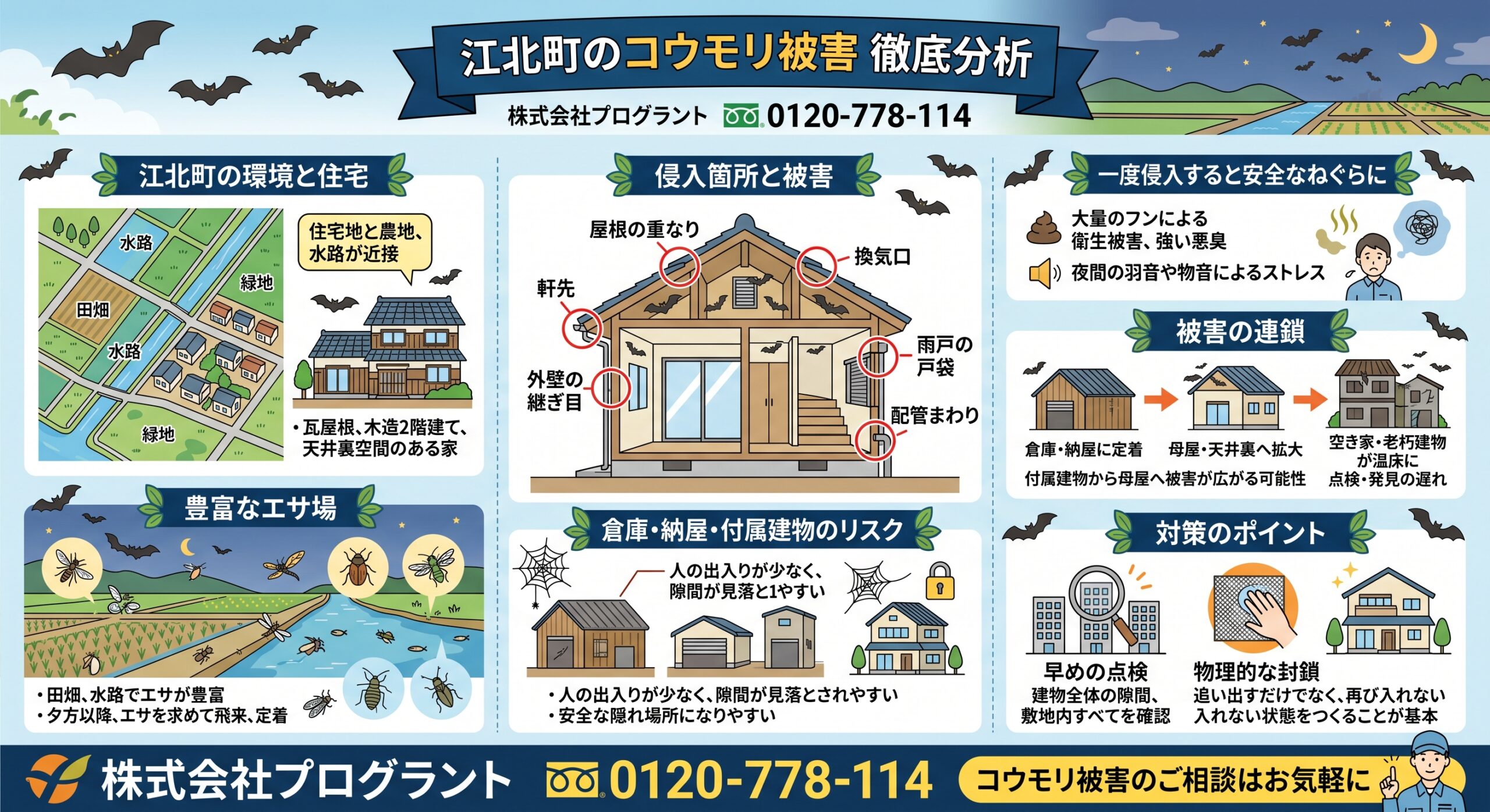 江北町のコウモリ被害