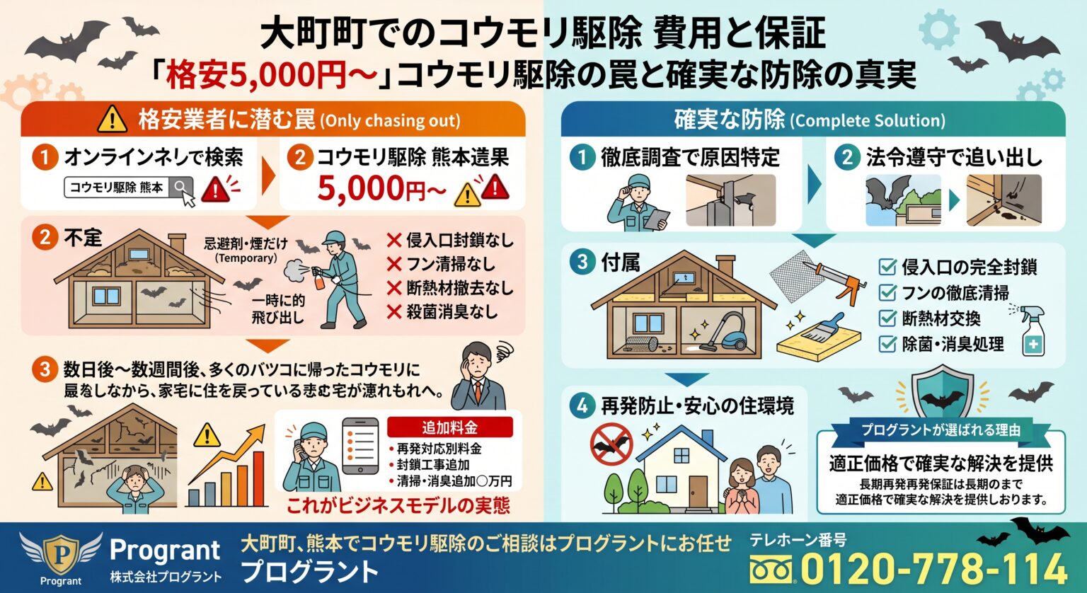 大町町でのコウモリ駆除費用と保証