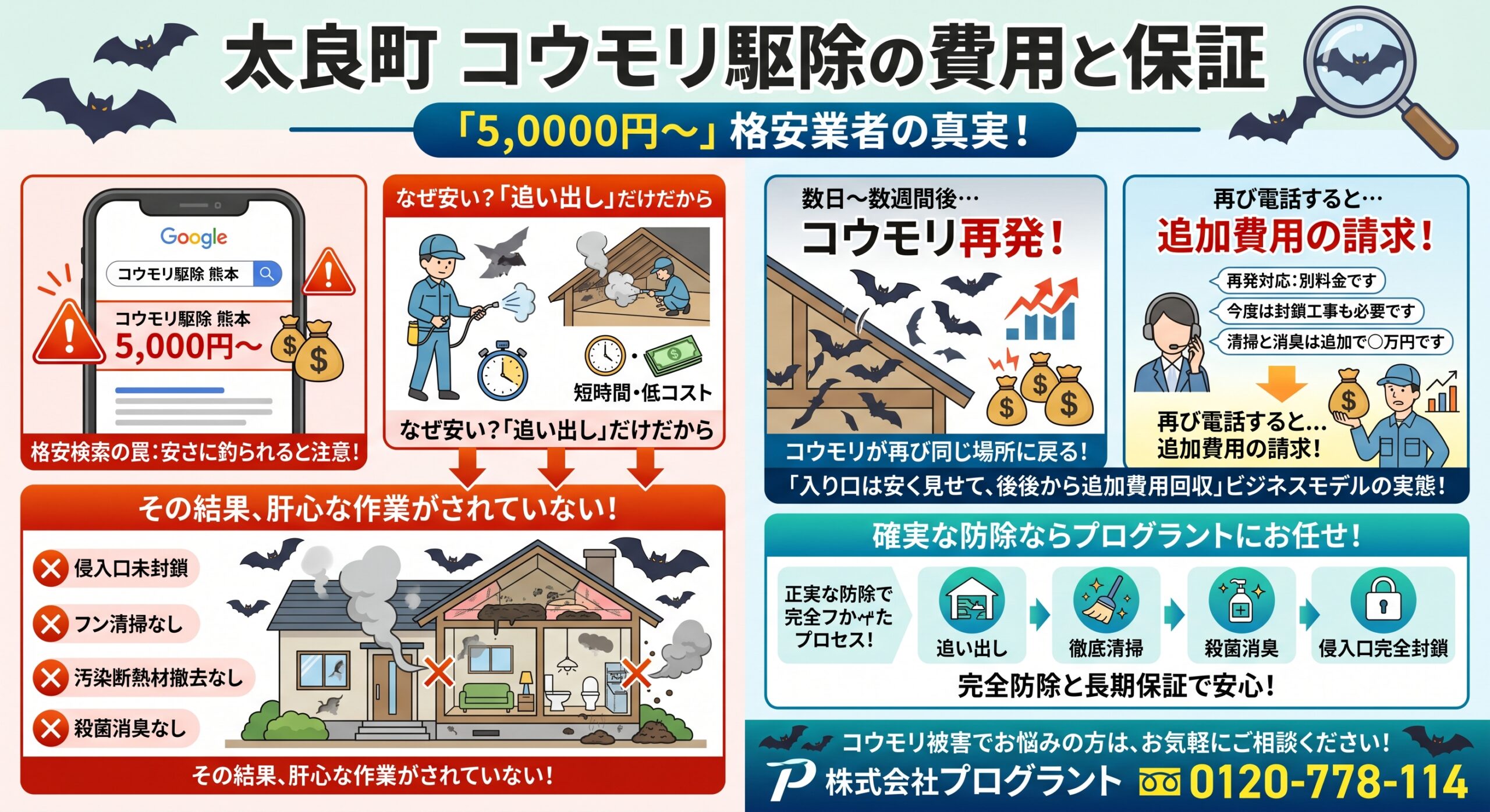 太良町コウモリ駆除費用と保証