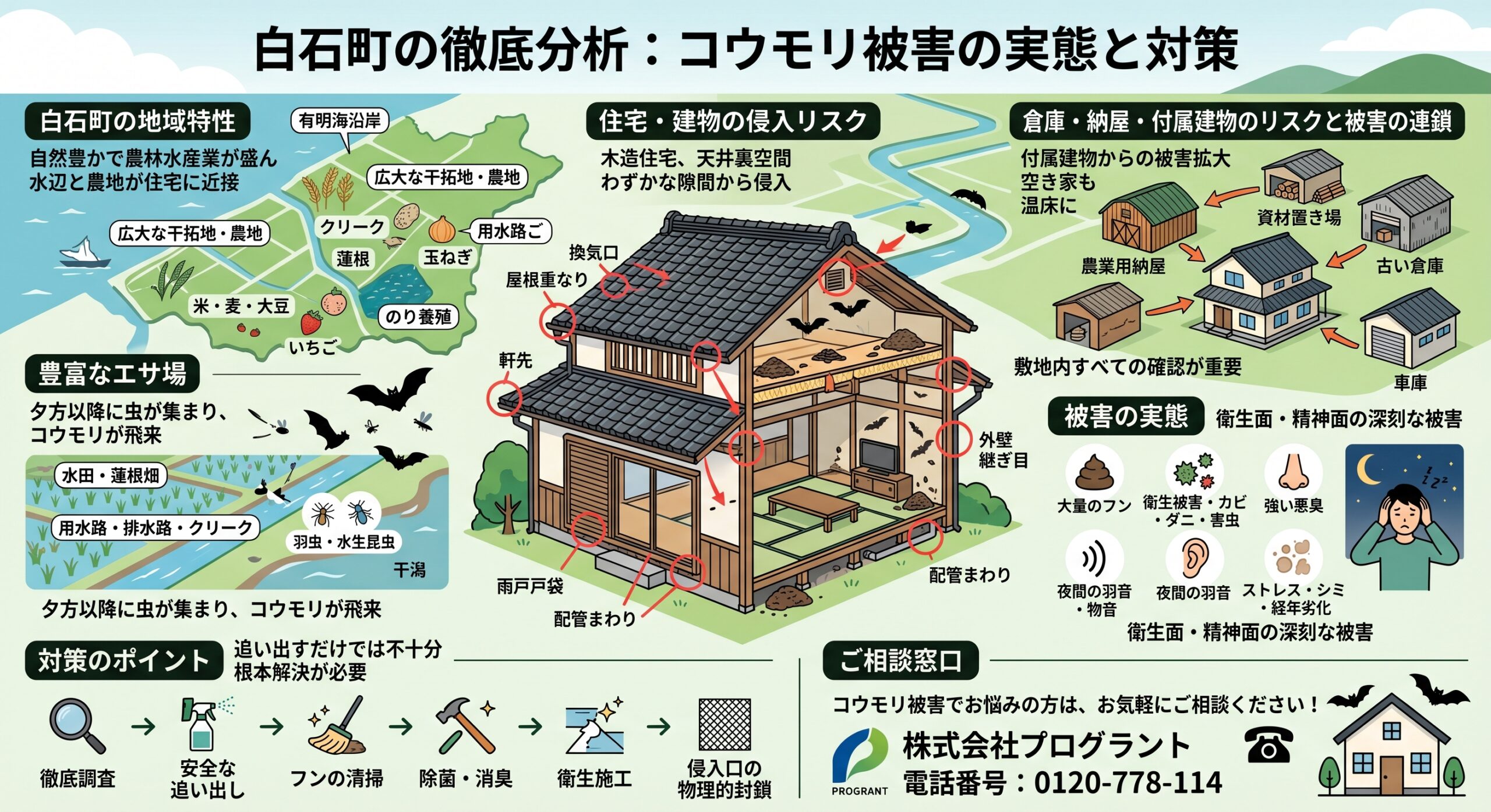 白石町の徹底分析