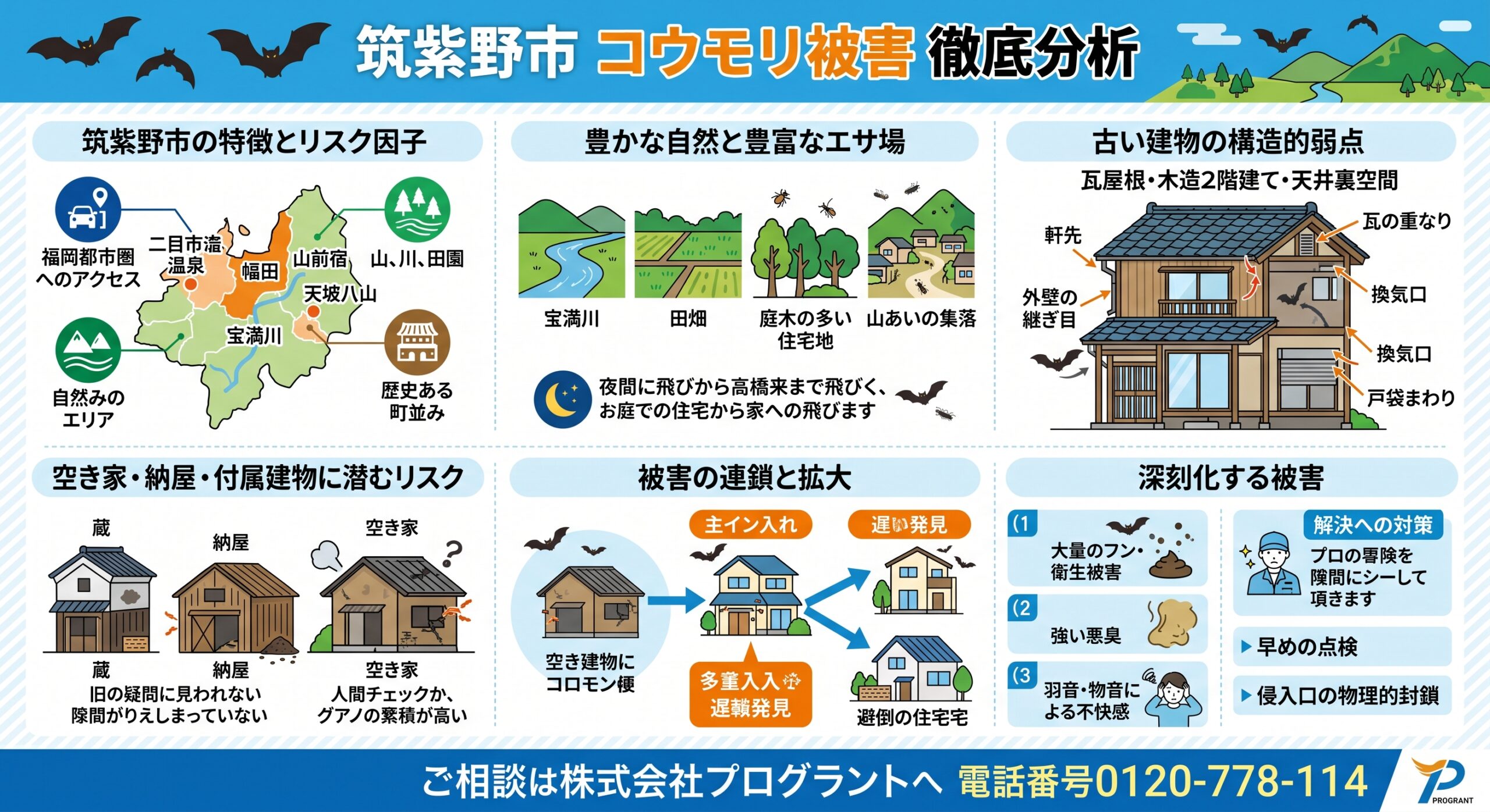 筑紫野市コウモリ被害徹底分析