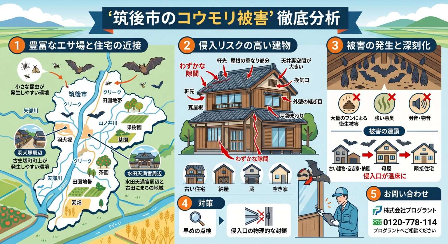 筑後市コウモリ被害徹底分析