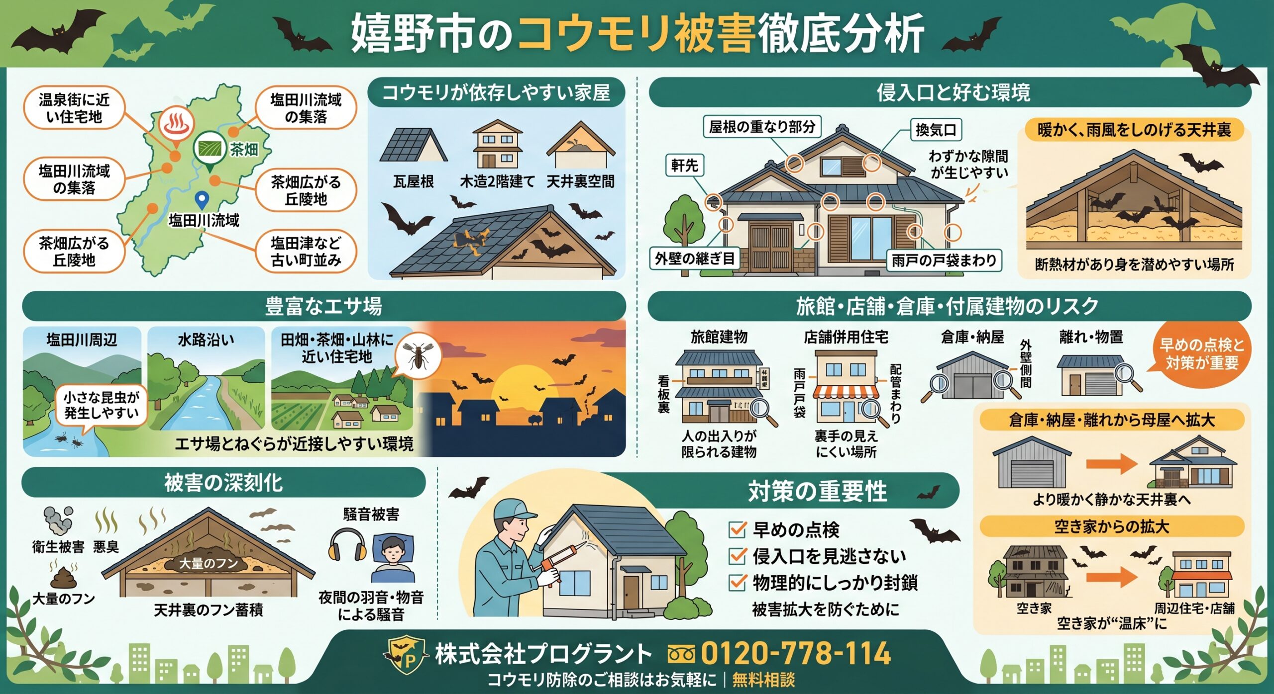 嬉野市のコウモリ被害徹底分析