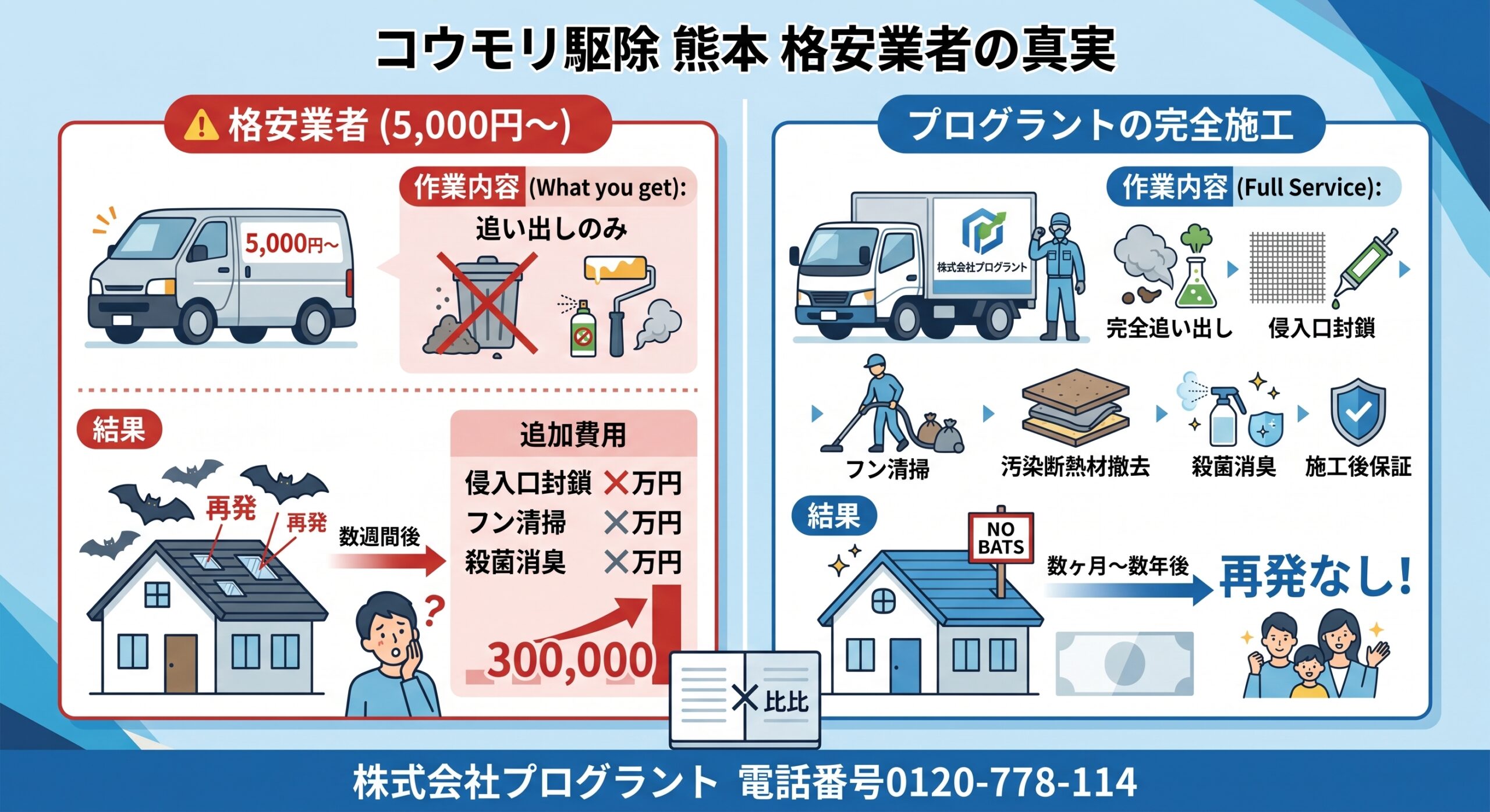コウモリ駆除格安業者の真実
