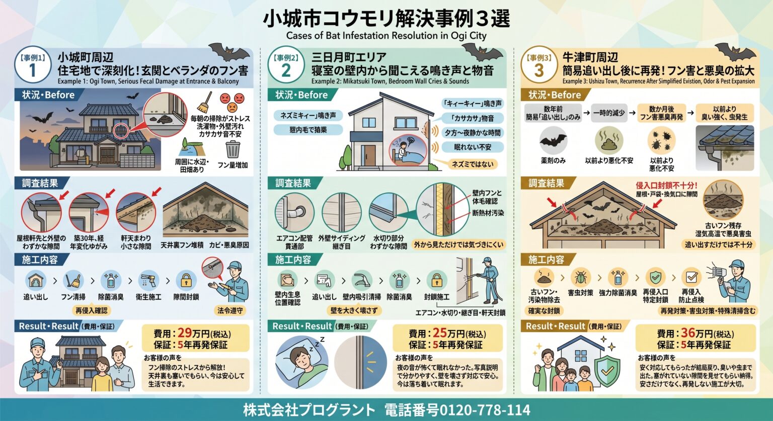 小城市コウモリ解決事例