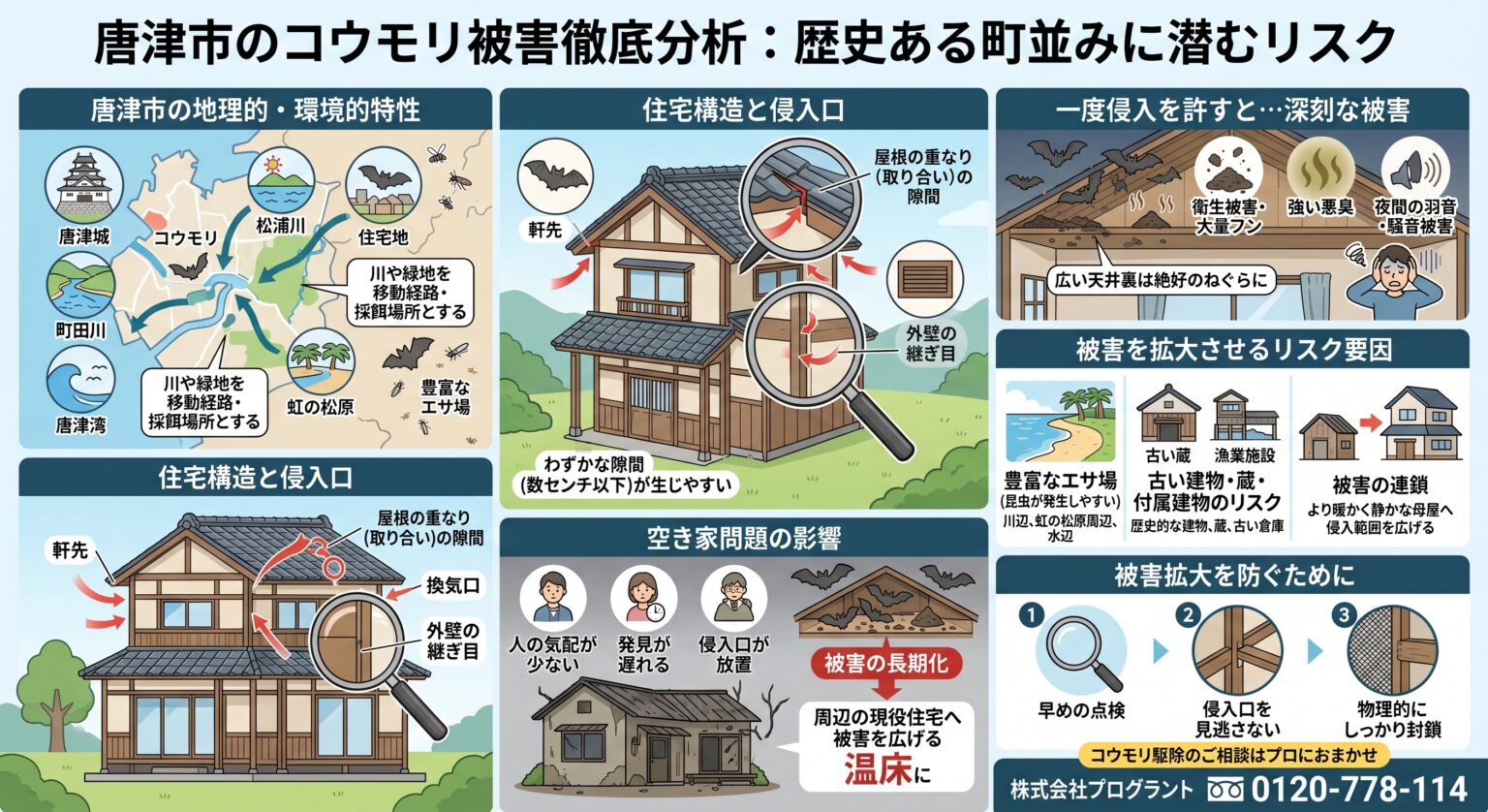 唐津市のコウモリ被害徹底分析