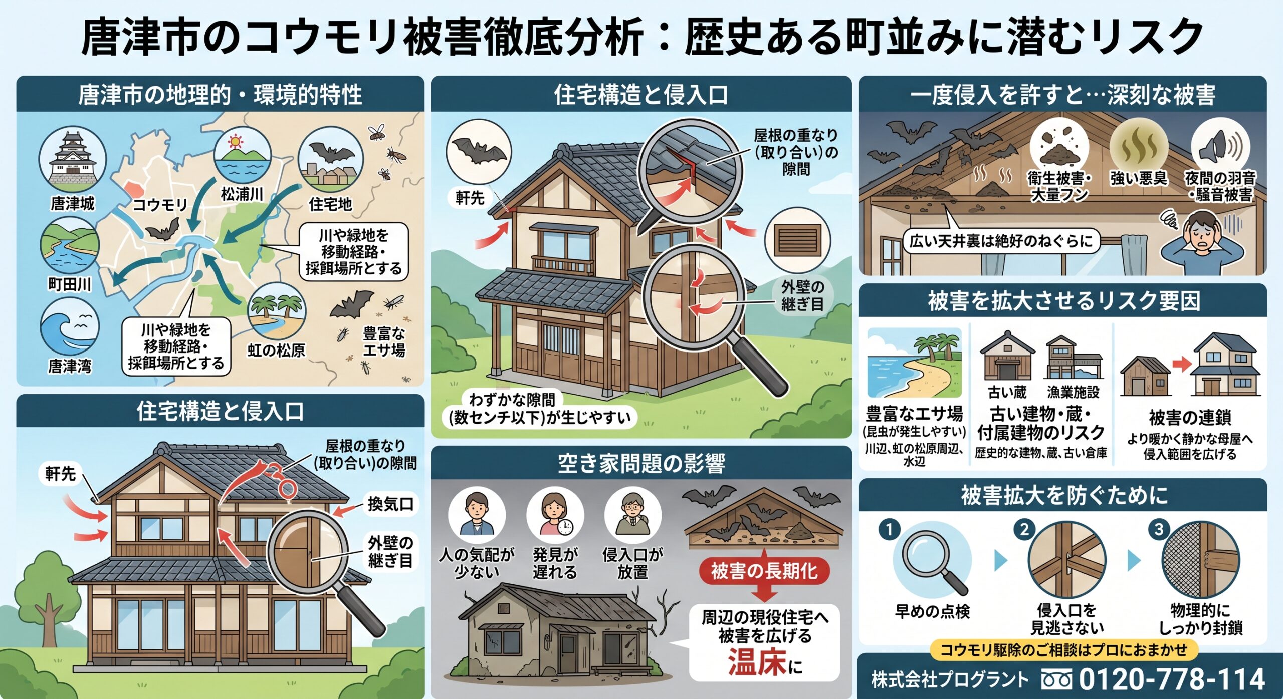 唐津市のコウモリ被害徹底分析