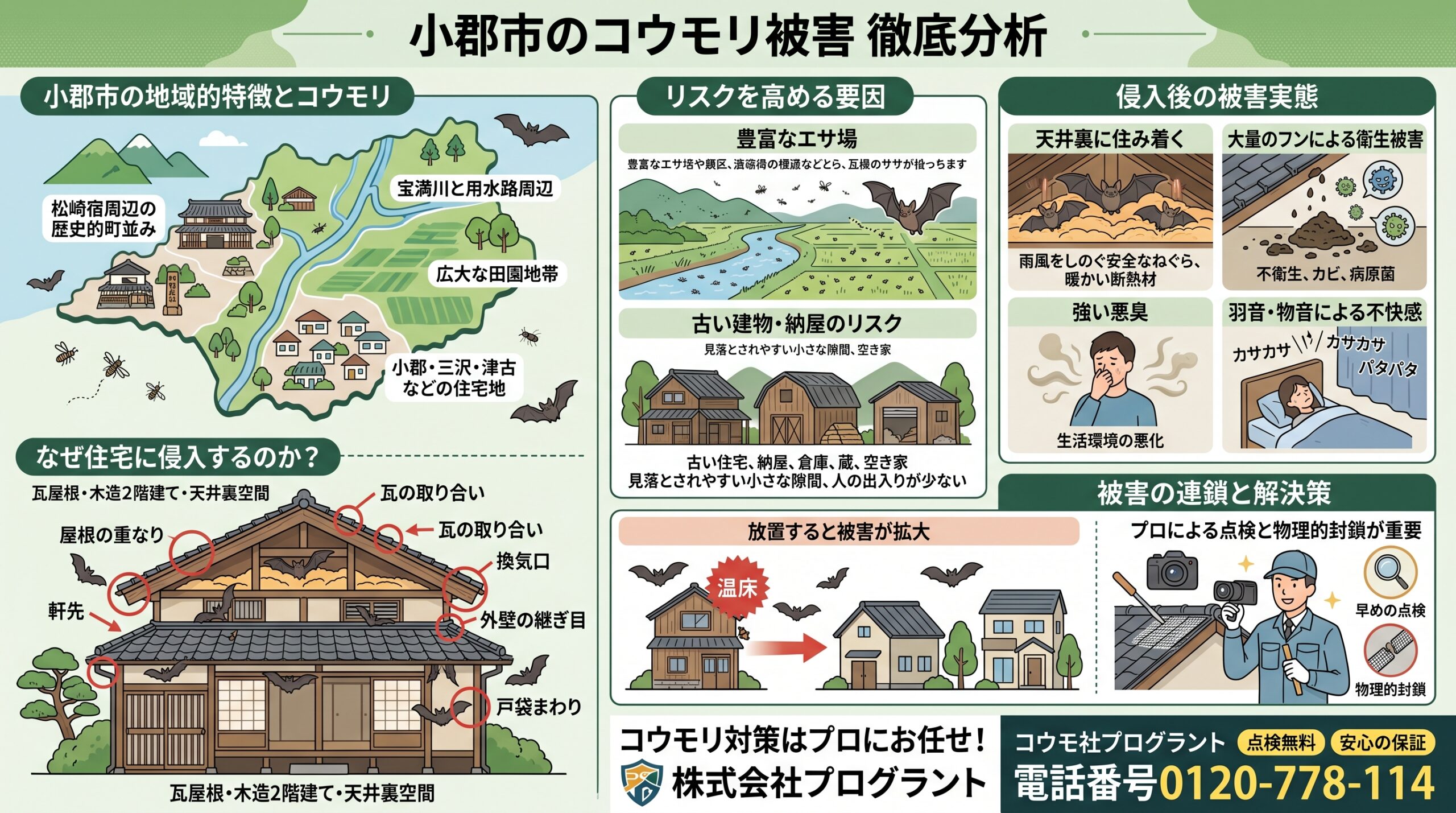 小郡市のコウモリ被害徹底分析