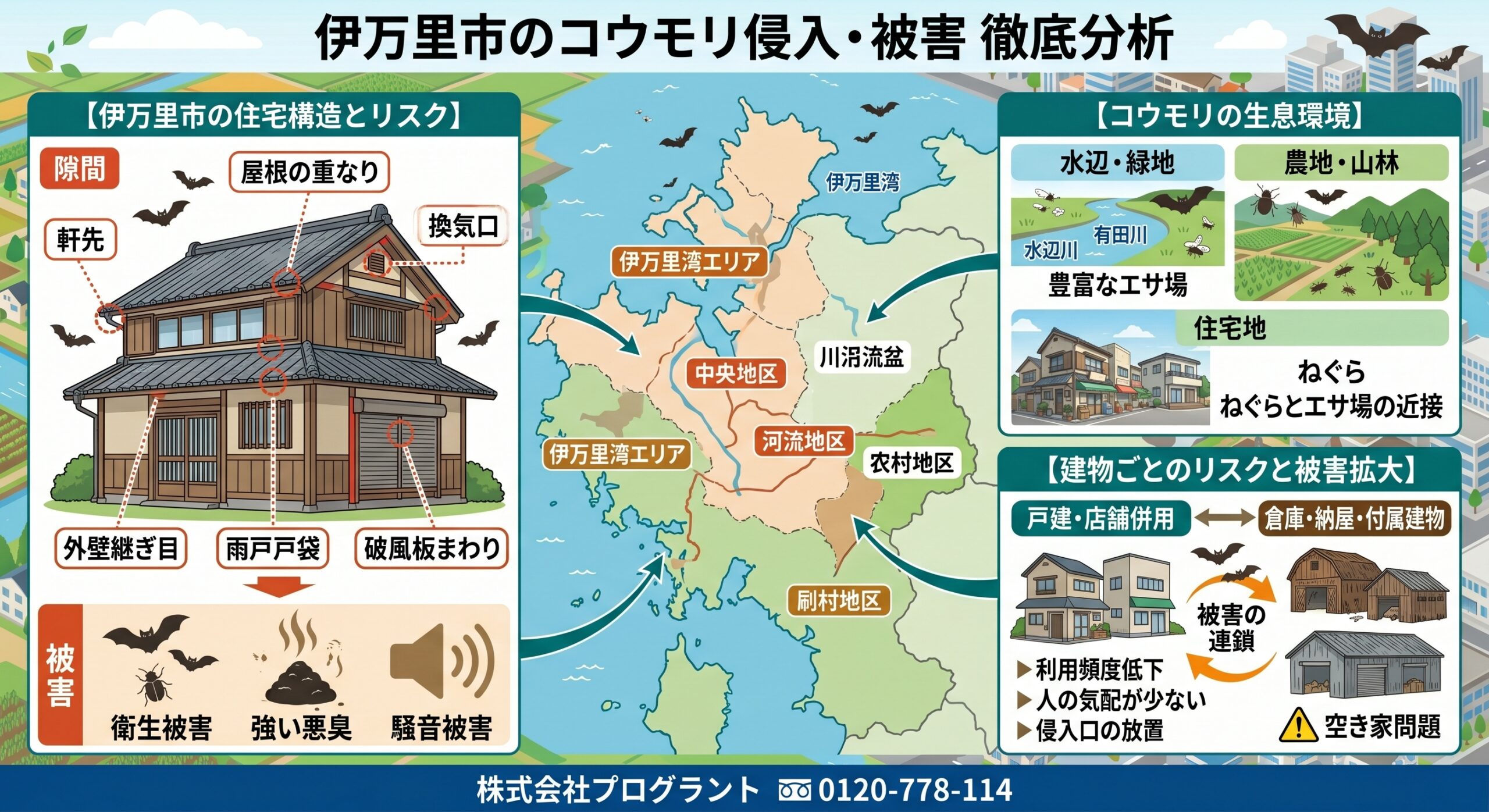 伊万里市のコウモリ侵入・被害徹底分析