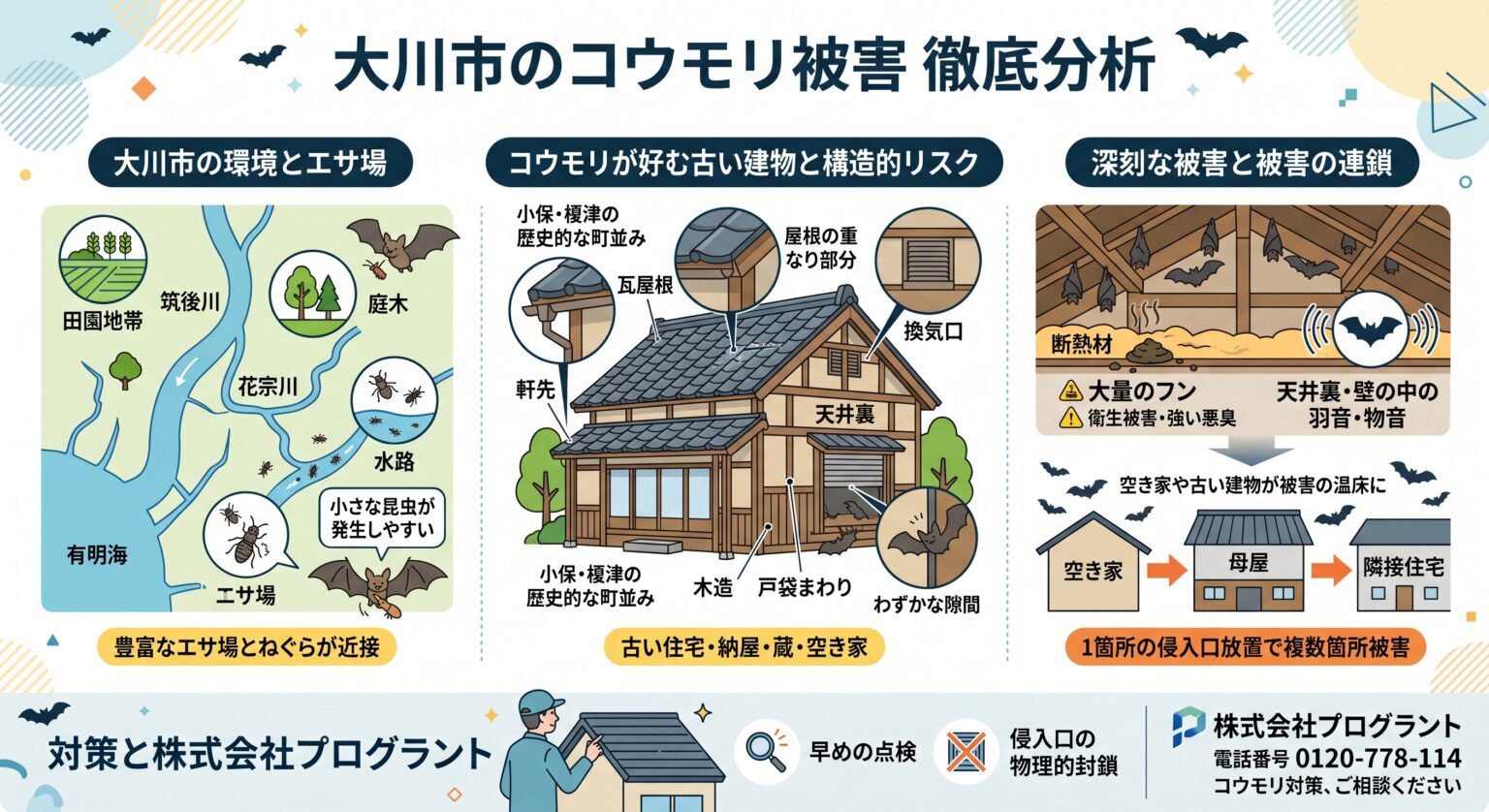 大川市のコウモリ被害徹底分析