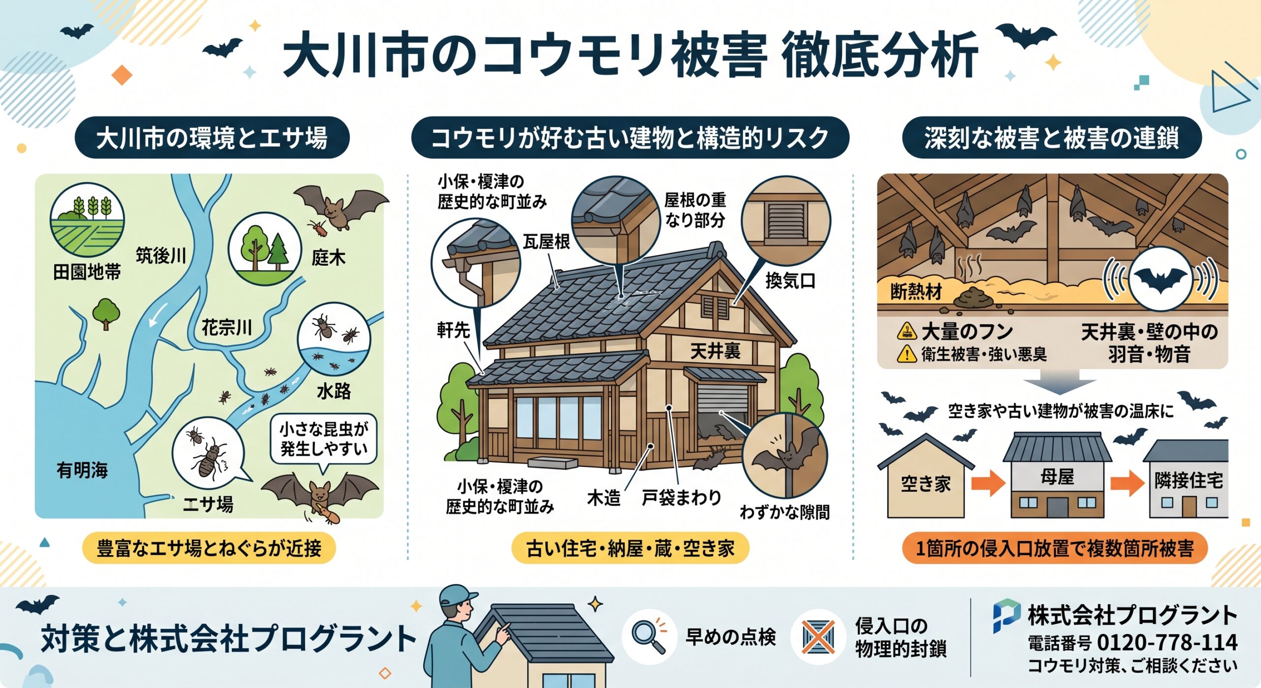 大川市のコウモリ被害徹底分析