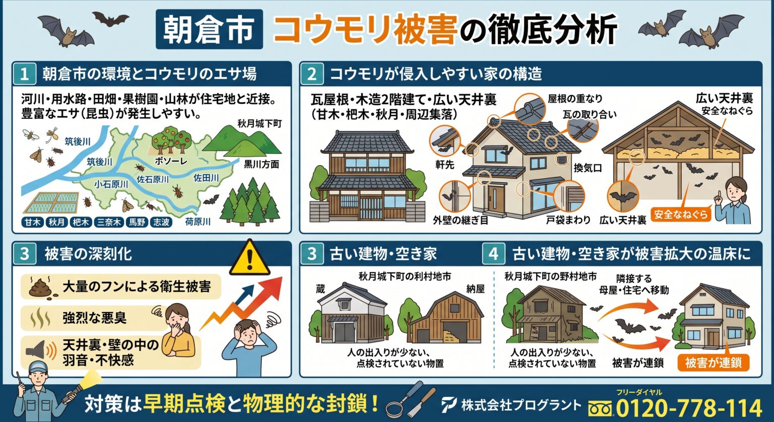 朝倉市コウモリ被害徹底分析