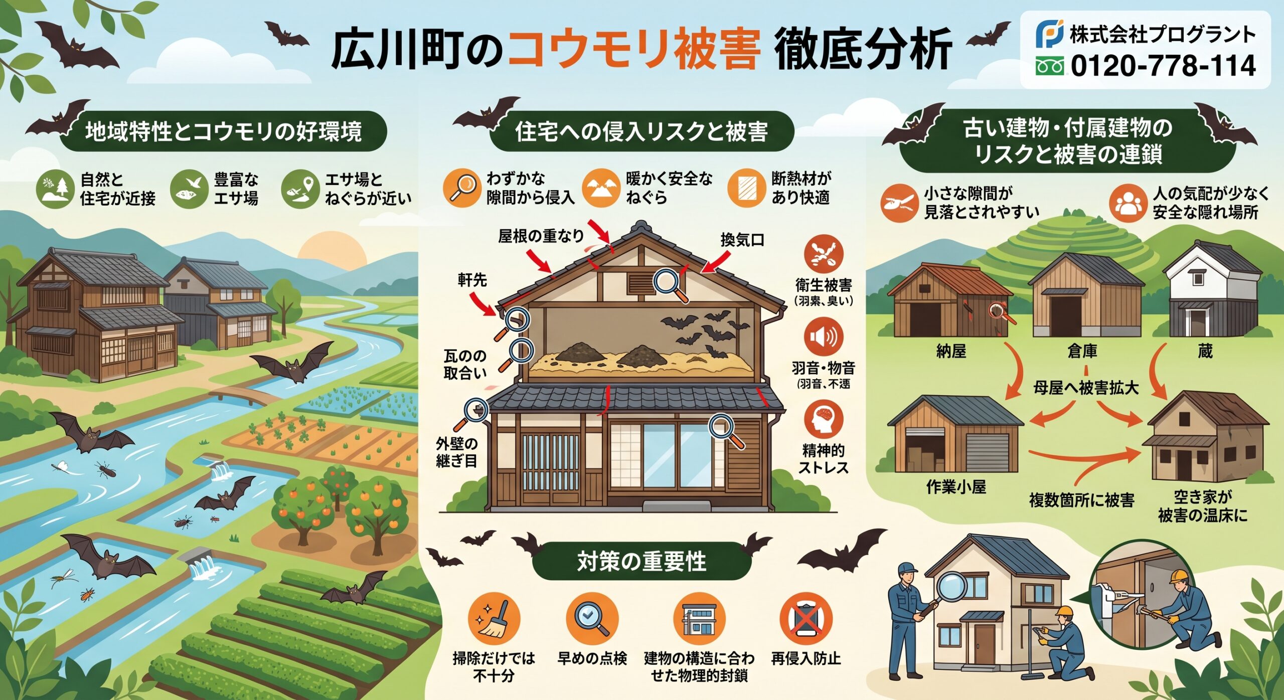 広川町のコウモリ被害徹底分析