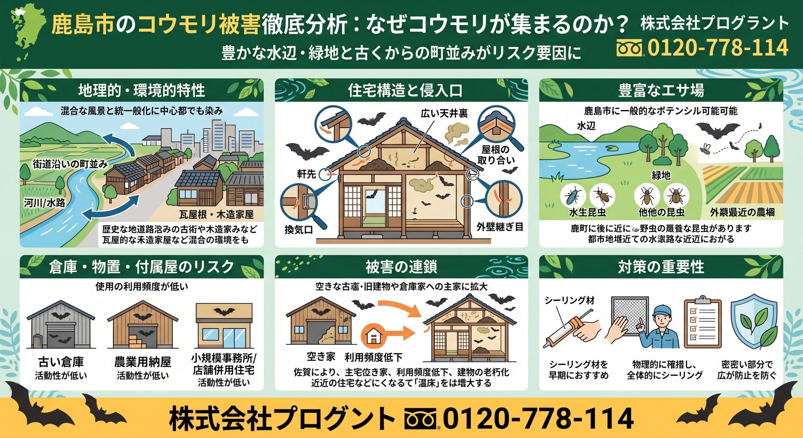 鹿島市のコウモリ被害徹底分析