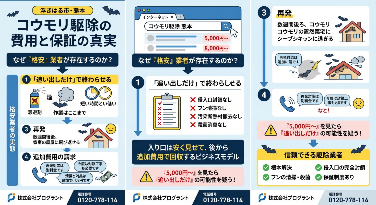 コウモリ駆除の費用と保証の真実