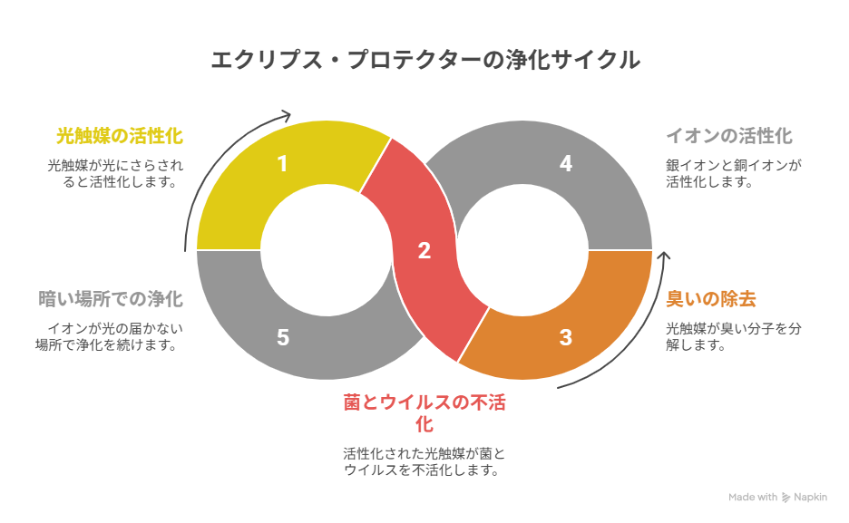 エクリプス・プロテクターの浄化サイクルを示すインフォグラフィック。上部に「エクリプス・プロテクターの浄化サイクル」のタイトル。中央に2つの円形図で5段階のサイクルを表示。左の円：1番（黄色）「光触媒の活性化 光触媒が光にさらされると活性化します」、2番（赤色）「菌とウイルスの不活 活性化された光触媒が菌とウイルスを不活化します」、5番（グレー）「暗い場所での浄化 イオンが光の届かない場所で浄化を続けます」。右の円：3番（オレンジ）「臭いの除去 光触媒が臭い分子を分解します」、4番（グレー）「イオンの活性化 銀イオンと銅イオンが活性化します」。矢印で循環を示し、右下に「Made with Napkin」のクレジット表示。 