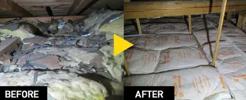 アライグマ被害による断熱材交換・屋根裏清掃のビフォーアフター事例｜踏み荒らされ糞尿で汚染されたグラスウール（左）と、撤去・消毒後に新品の断熱材を隙間なく敷設し完全復旧した施工後（右）の劇的改善