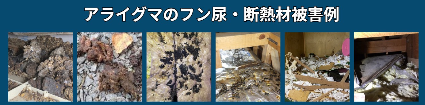 アライグマによる被害写真 糞尿害や断熱材損傷の被害例の写真。