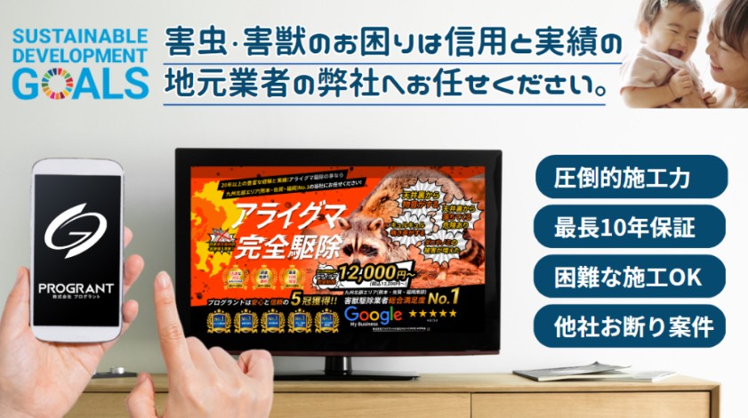 害虫・害獣のお困りは信用と実績の地元業者のプログラントにお任せください。