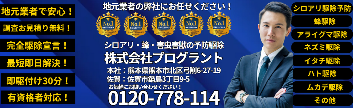 株式会社プログラントの会社紹介バナー。青いグラデーション背景に左側に6つの特徴を縦に配置：「地元業者で安心！」「調査お見積り無料！」「完全駆除宣言！」「最短即日解決！」「即駆付け30分！」「有資格者対応！」。中央上部に「地元業者の弊社にお任せください！」のメッセージと5つの金色のNo.1バッジ。中央に「シロアリ・蜂・害虫害獣の予防駆除 株式会社プログラント」の会社名、本社（熊本県熊本市北区弓削6-27-19）と佐賀営業所（佐賀市鍋島3丁目9-5）の住所、「0120-778-114」の電話番号を大きく表示。右側にスーツ姿の男性（代表者）の写真と対応サービス一覧（シロアリ駆除予防、蜂駆除、アライグマ駆除、ネズミ駆除、イタチ駆除、ハト駆除、ムカデ駆除、その他）を黄色文字で配置。 