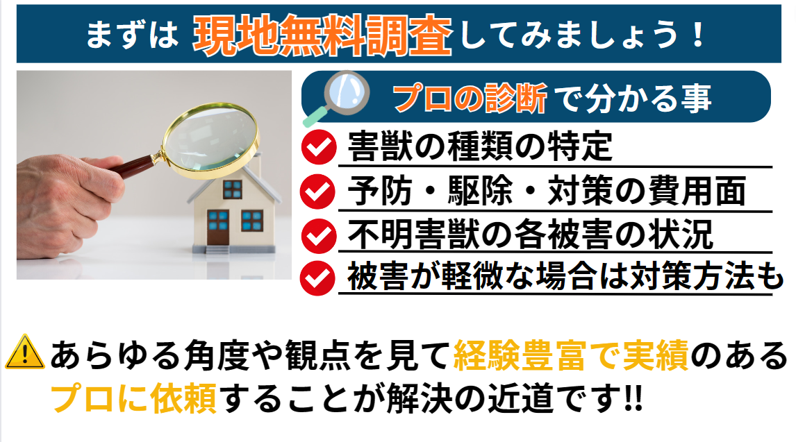 現地無料調査を訴求するインフォグラフィック。上部に青い帯で「まずは現地無料調査してみましょう！」のタイトル、「現地無料調査」部分はオレンジ色で強調。左側に虫眼鏡で家の模型を調査する手の写真。右側に「プロの診断で分かる事」の見出しと4つのチェック項目：「害獣の種類の特定」「予防・駆除・対策の費用面」「不明害獣の各被害の状況」「被害が軽微な場合は対策方法も」。下部に黄色い警告マークと「あらゆる角度や観点を見て経験豊富で実績のあるプロに依頼することが解決の近道です!!」のメッセージ、「経験豊富で実績のある」部分は黄色でハイライト。 