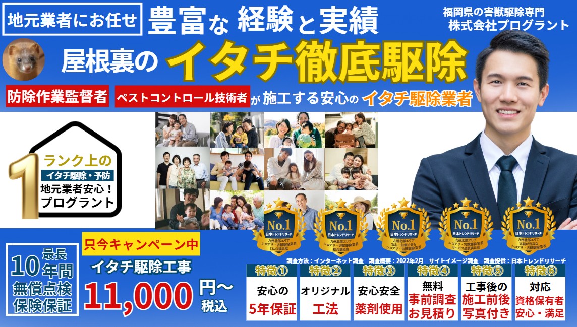 豊富な経験と実績｜屋根裏のイタチ徹底駆除 福岡県の害獣専門で安心の地元業者のプログラント