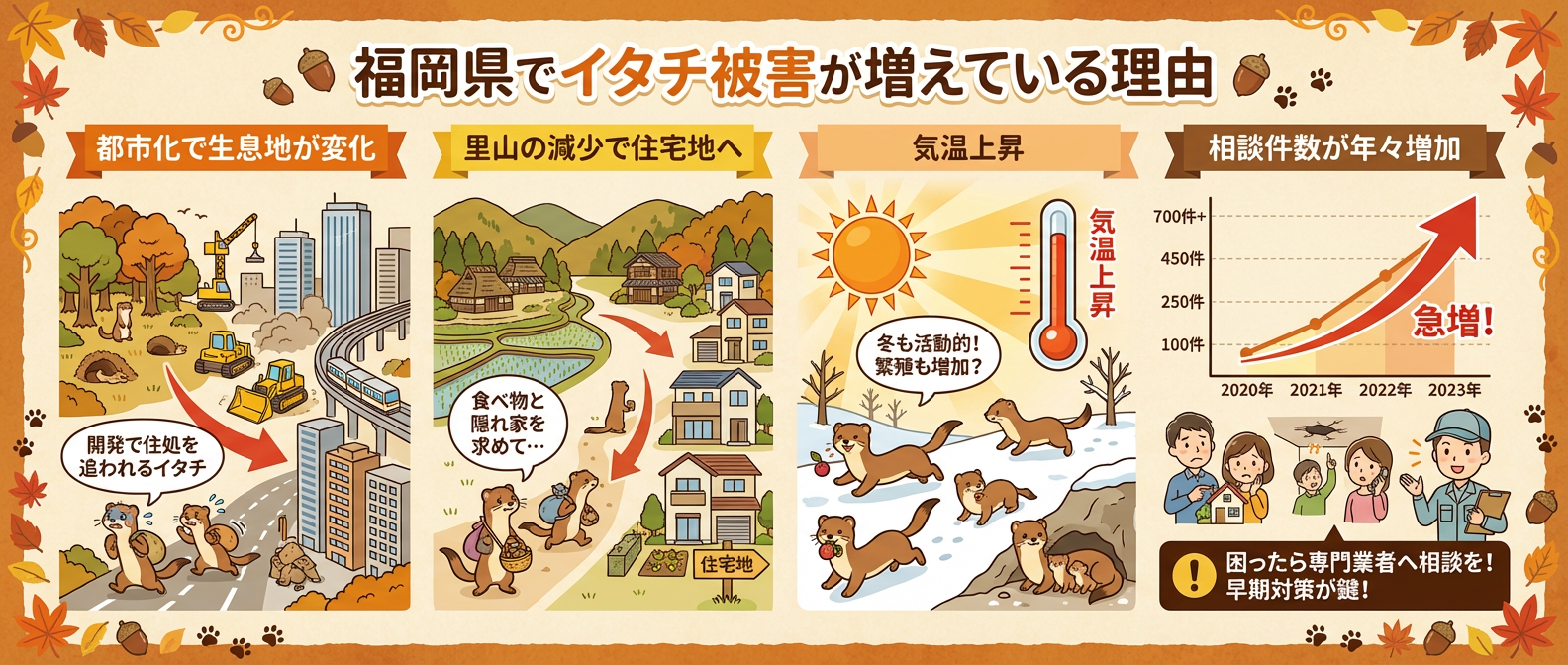 福岡県でイタチ被害が増えている理由