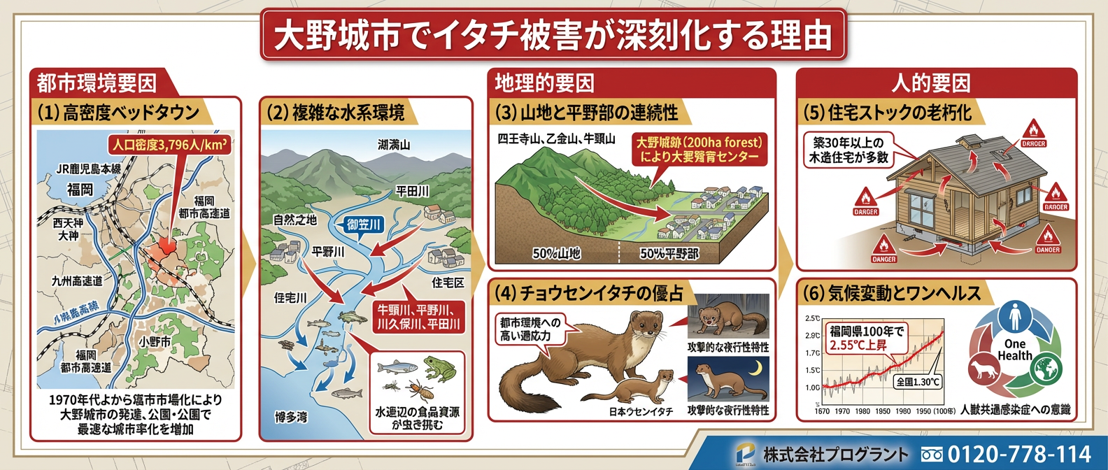 大野城市でイタチ被害が深刻化する理由