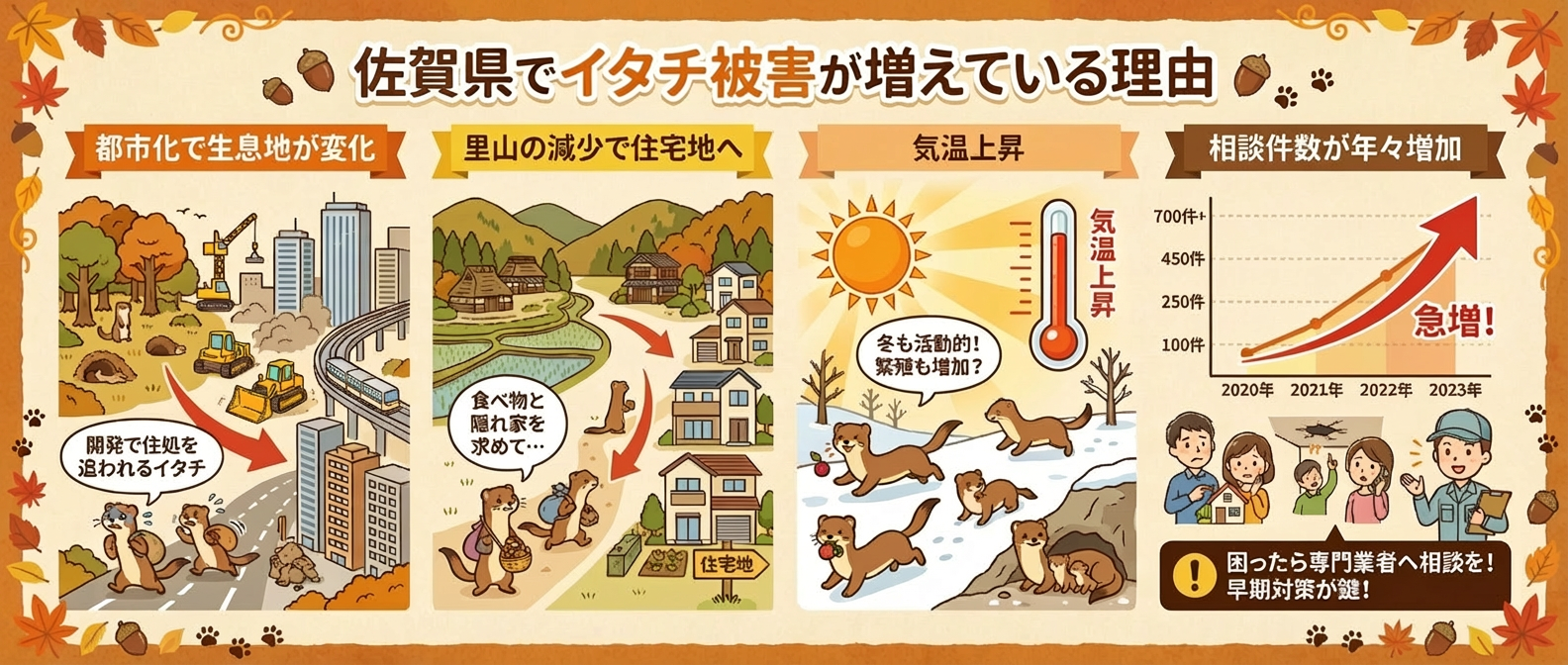 佐賀県でイタチ被害が増えている理由