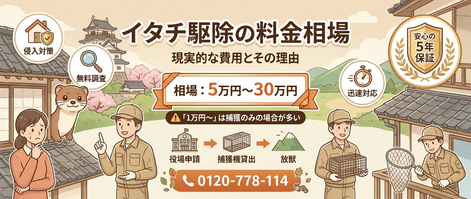 イタチ駆除の料金相場 現実的な費用とその理由についてのバナー 相場5万円～30万円 お問い合わせは0120-778-114へ