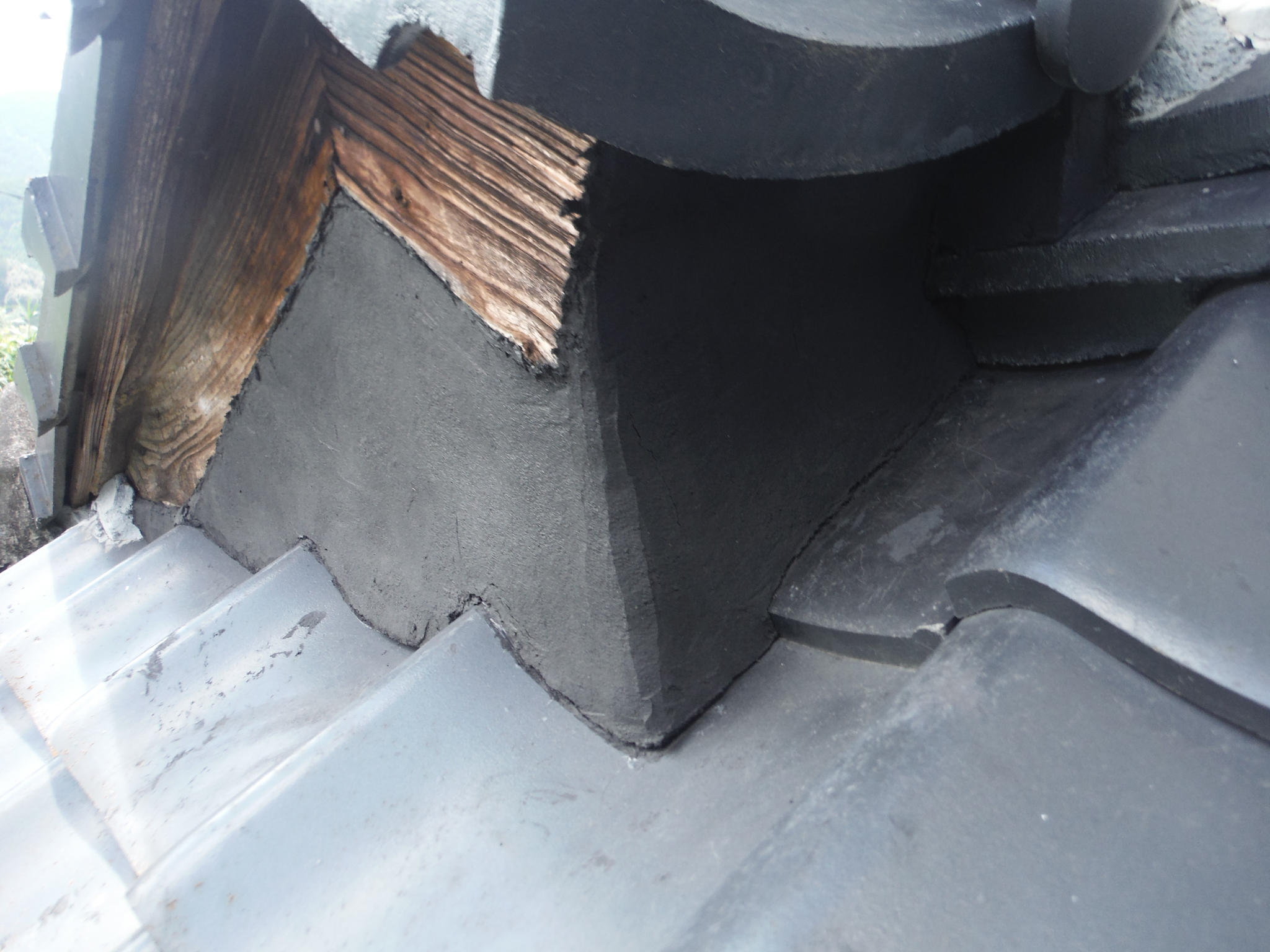 施工後完璧に封鎖された侵入口