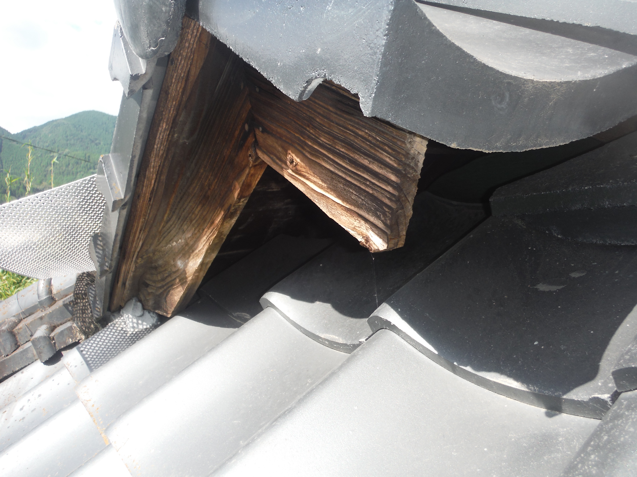 侵入口となっていた屋根の絡み部分