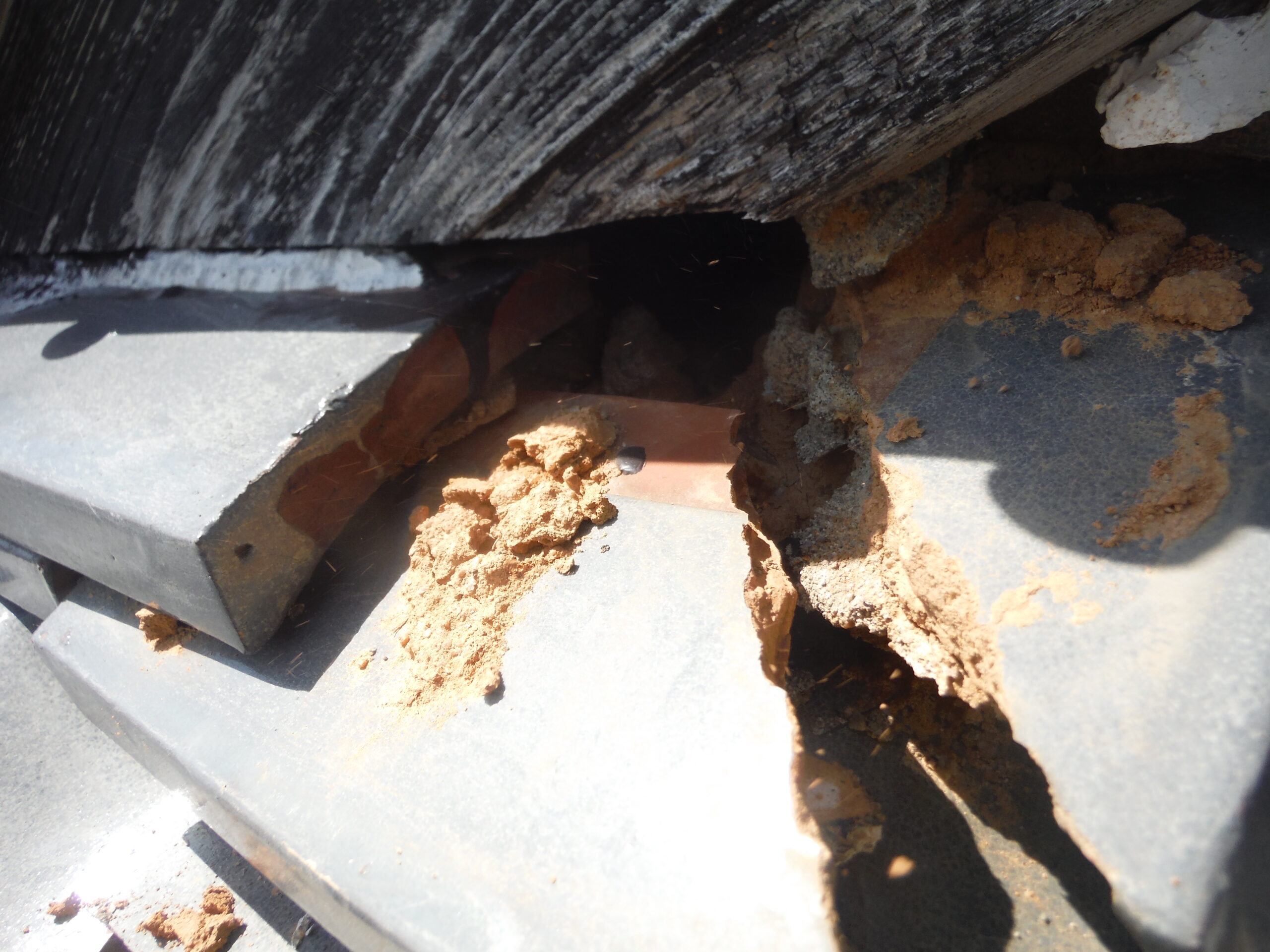 侵入口となっていた隙間部分