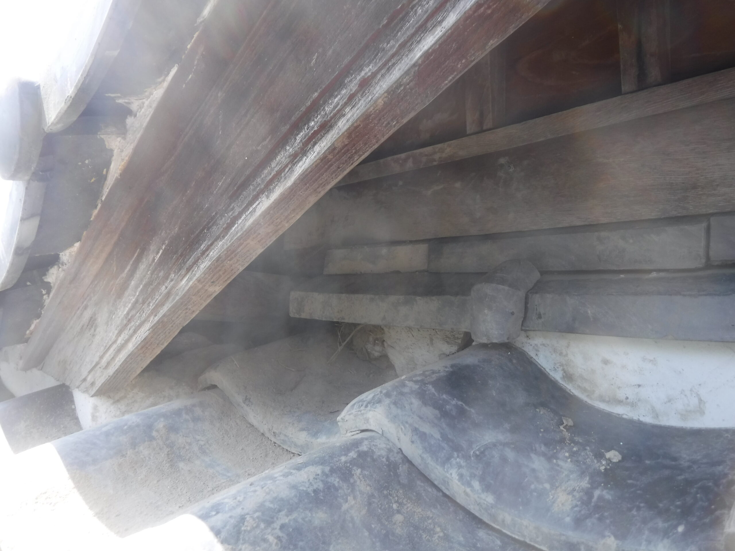 侵入口となっていた隙間