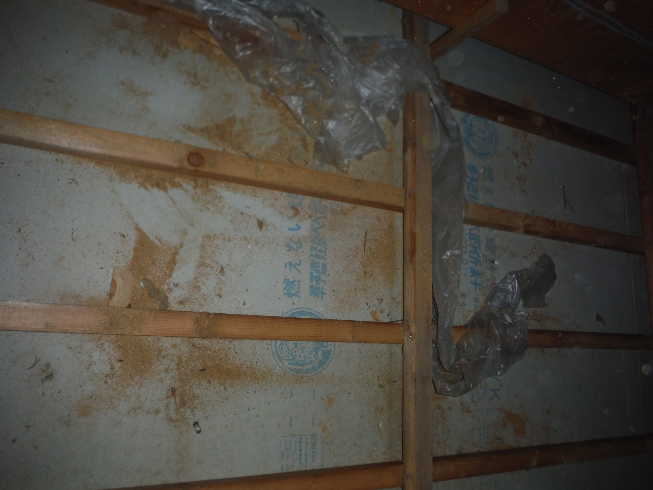 汚れた天井裏
