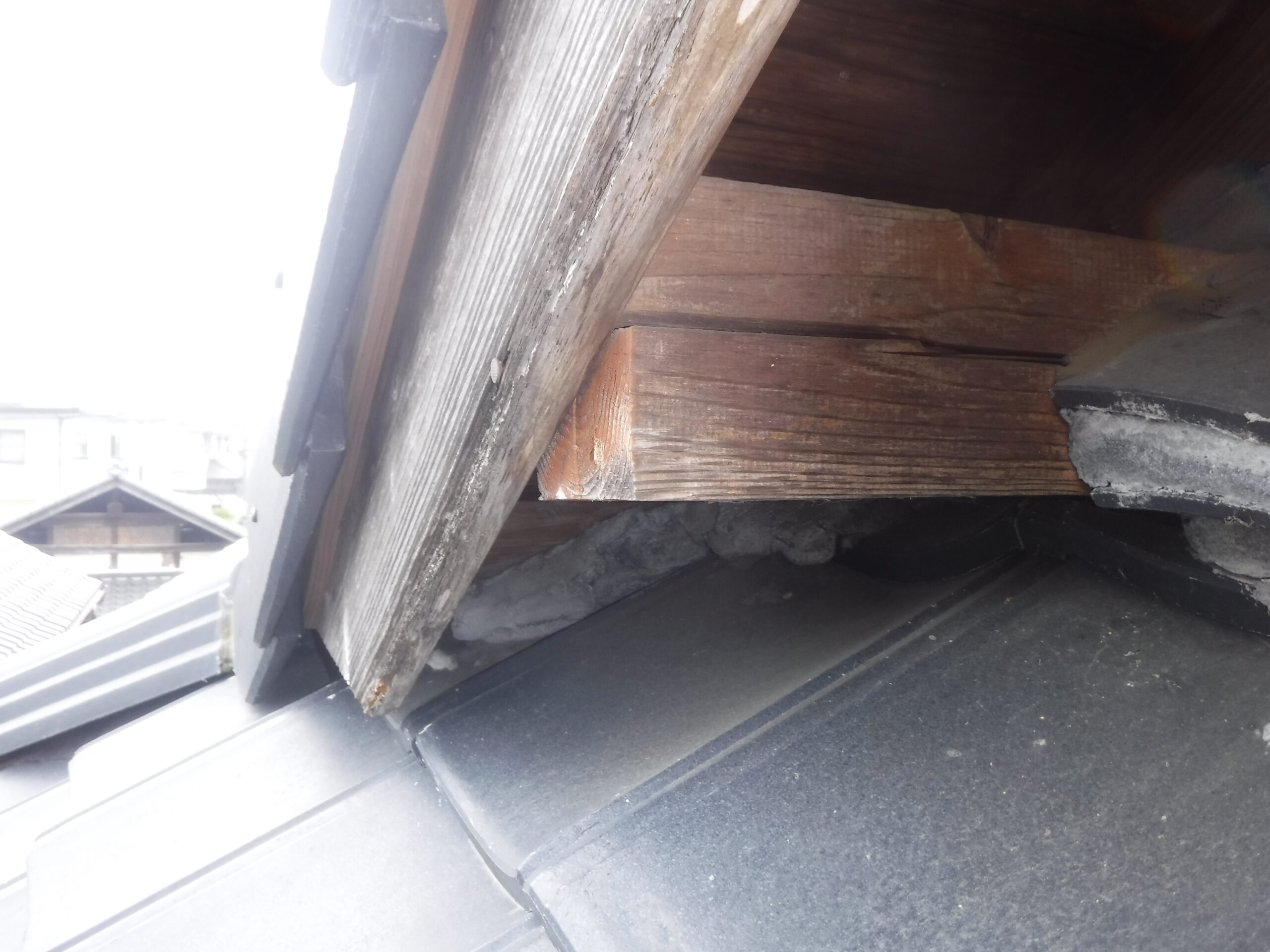 侵入口となっていた隙間