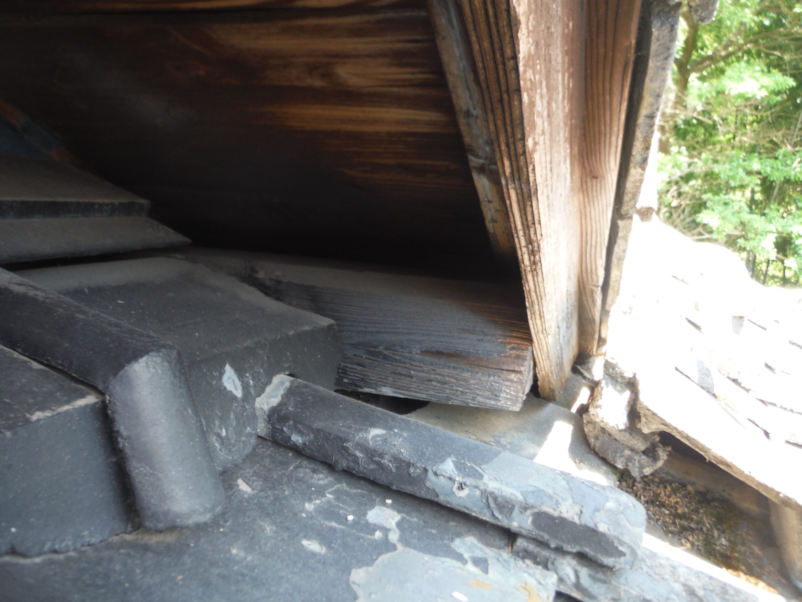 侵入口となっていた隙間