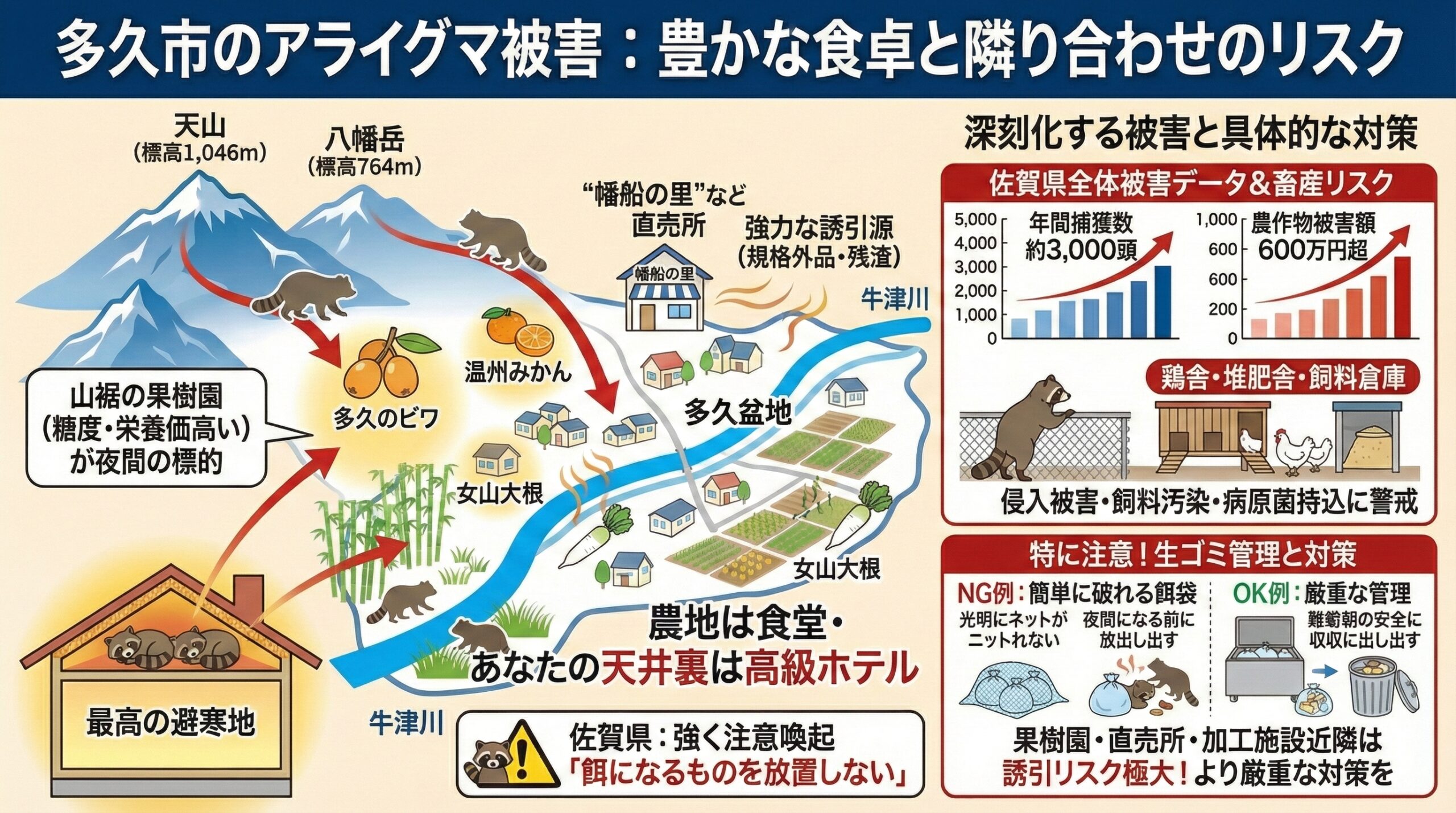 多久市のアライグマ被害。豊かな食卓と隣り合わせのリスクをインフォグラフィックを用いて図解で説明。