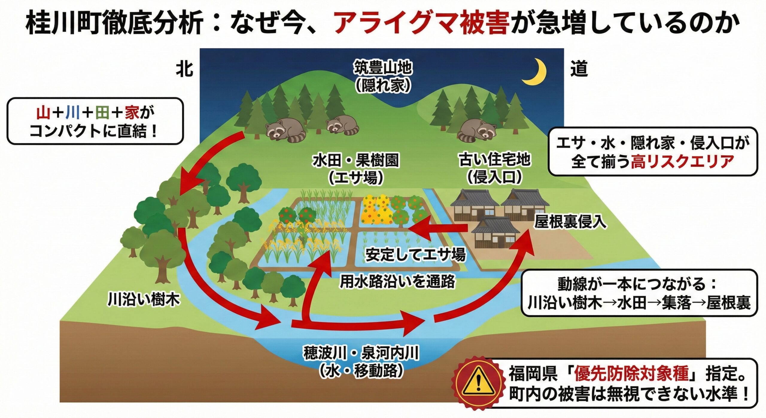 桂川町徹底分析：なぜ今、アライグマ被害が急増しているのか