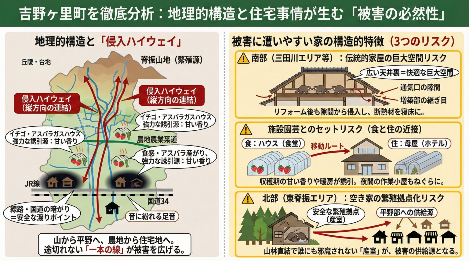 吉野ヶ里町を徹底分析した画像。地理的構造と住宅事情が生むアライグマ被害の必然性についてインフォグラフィックで図解したもの。