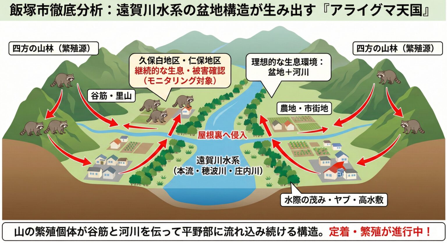 飯塚市徹底分析：遠賀川水系の盆地構造が生み出すアライグマ天国