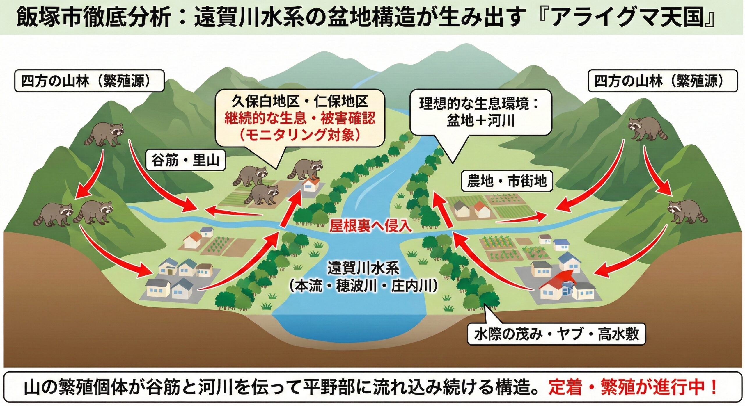 飯塚市徹底分析：遠賀川水系の盆地構造が生み出すアライグマ天国
